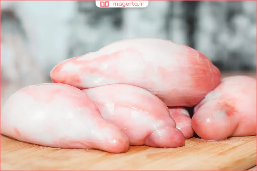 مقایسه اندازه و شکل دنبلان طبیعی تازه