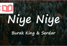 متن و ترجمه آهنگ Niye Niye از Burak King و Serdar Ortaç