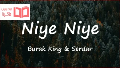 متن و ترجمه آهنگ Niye Niye از Burak King و Serdar Ortaç