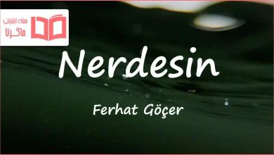 متن و ترجمه آهنگ Nerdesin از Ferhat Göçer