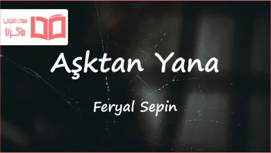 متن و ترجمه آهنگ Aşktan Yana از Feryal Sepin