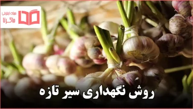روش نگهداری سیر تازه