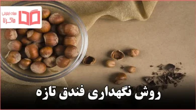 روش نگهداری فندق تازه
