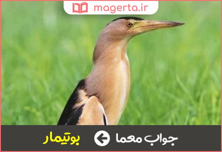 جواب معما غمخوارک در جدول