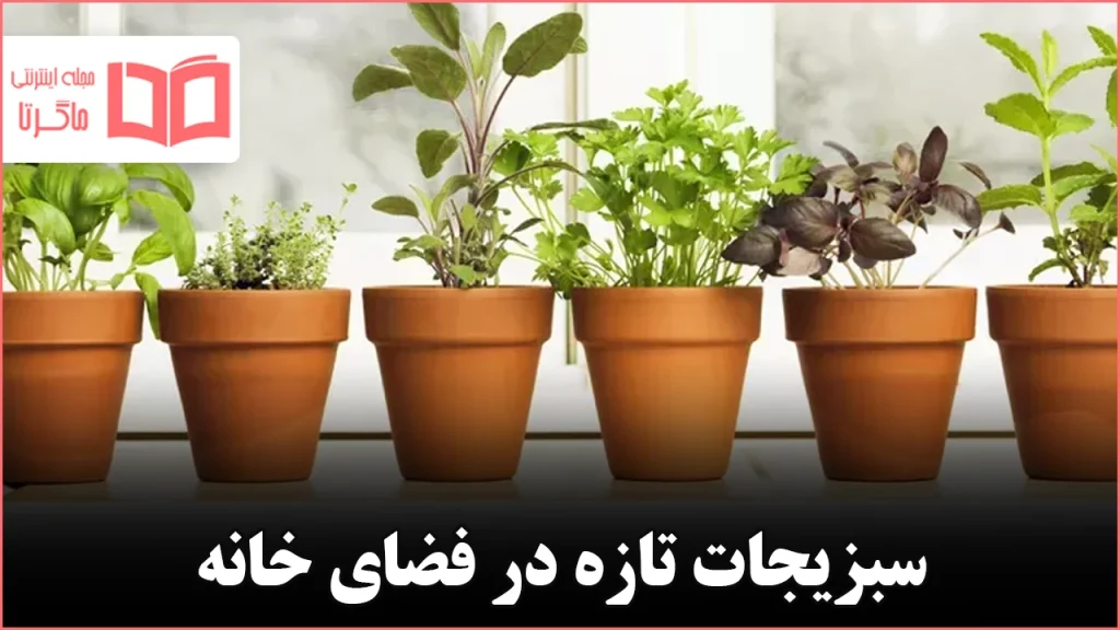 چگونه یک باغچه سبزیجات خانگی بسازیم که واقعاً رشد کند و دوام بیاورد