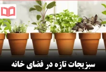 چگونه یک باغچه سبزیجات خانگی بسازیم که واقعاً رشد کند و دوام بیاورد