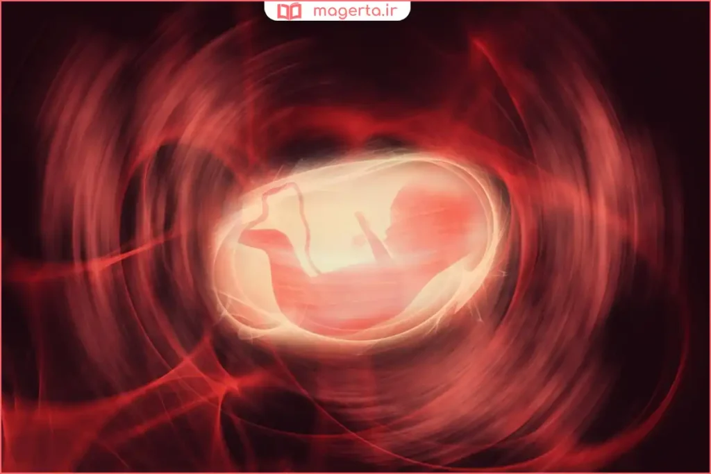 تصویر مانیتور سونوگرافی نشان‌دهنده تشکیل قلب جنین