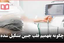 چگونه بفهمیم قلب جنین تشکیل شده