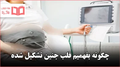 چگونه بفهمیم قلب جنین تشکیل شده