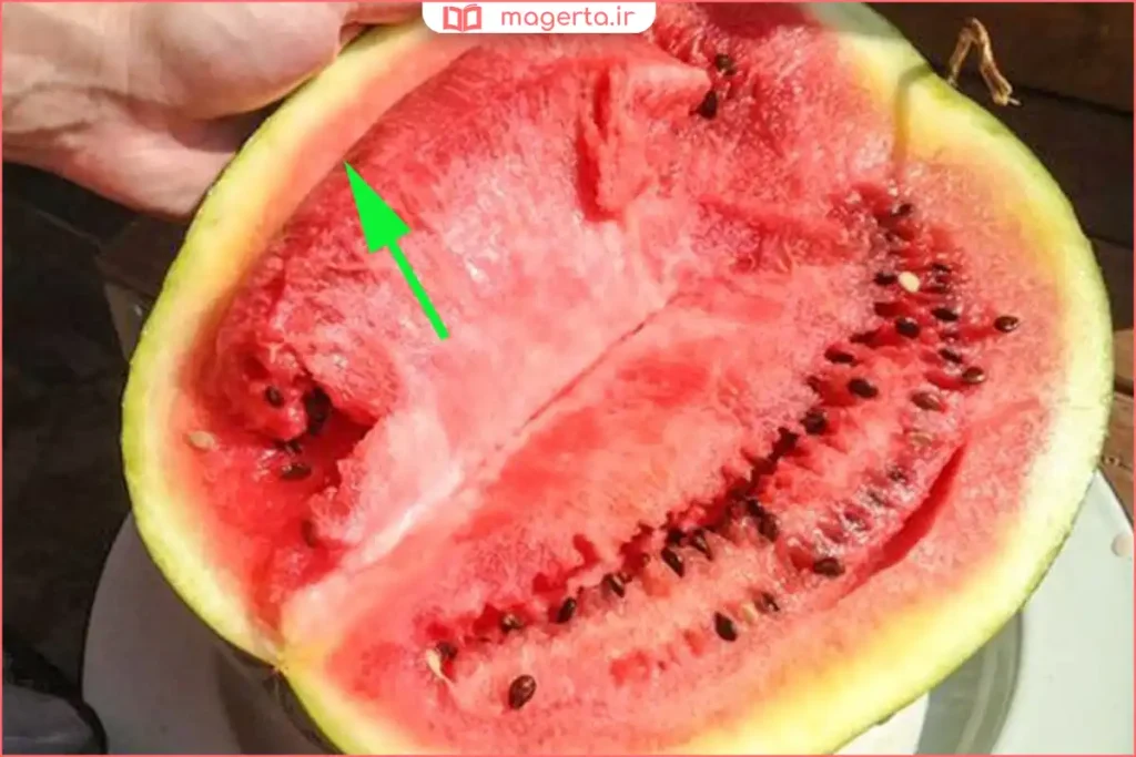 مقایسه رنگ گوشت هندوانه سالم و هندوانه با نیترات بالا