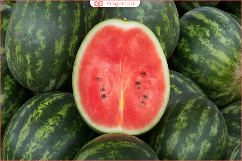 نمای نزدیک از بافت داخلی هندوانه با علائم غیرطبیعی