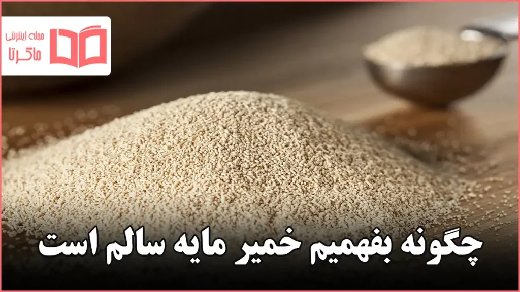 چگونه بفهمیم خمیر مایه سالم است