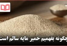 چگونه بفهمیم خمیر مایه سالم است