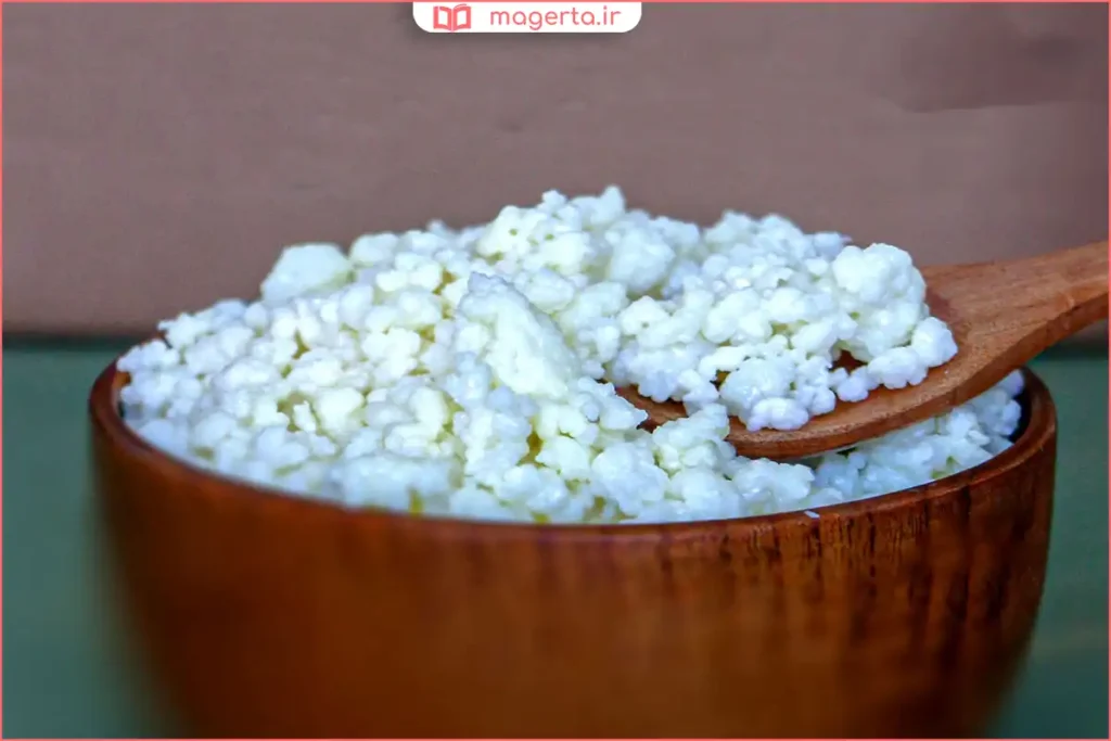 جداسازی قارچ کفیر از شیر پس از تخمیر