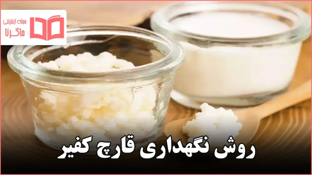 روش نگهداری قارچ کفیر