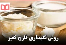 روش نگهداری قارچ کفیر