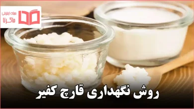 روش نگهداری قارچ کفیر