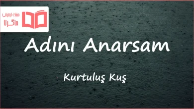 متن و ترجمه آهنگ Adını Anarsam از Kurtuluş Kuş