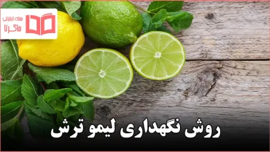 روش نگهداری لیمو ترش