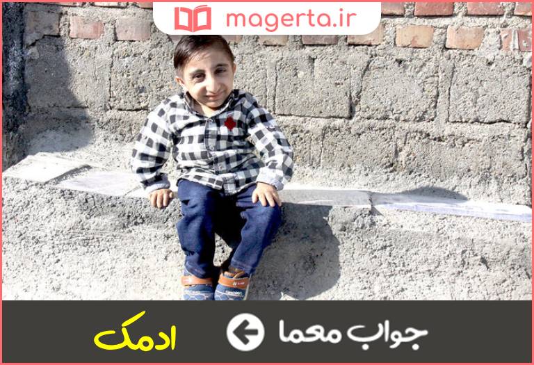 جواب معما مرد کوچک در جدول