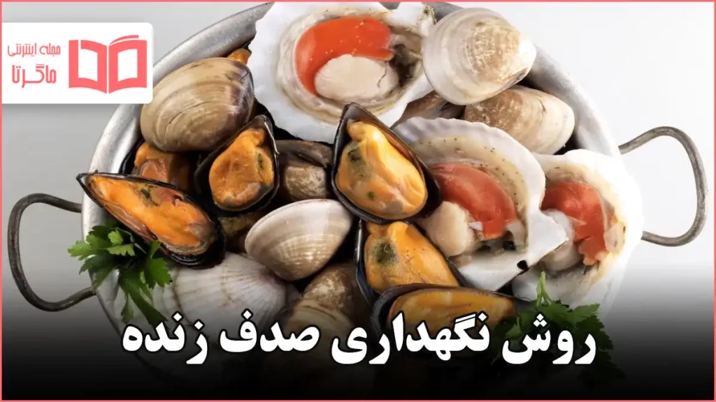 روش نگهداری صدف زنده