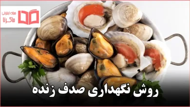 روش نگهداری صدف زنده