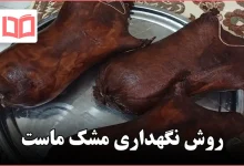 روش نگهداری مشک ماست