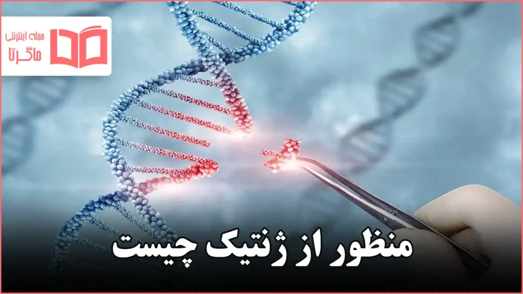 منظور از ژنتیک چیست