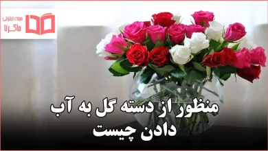 منظور از دسته گل به آب دادن چیست