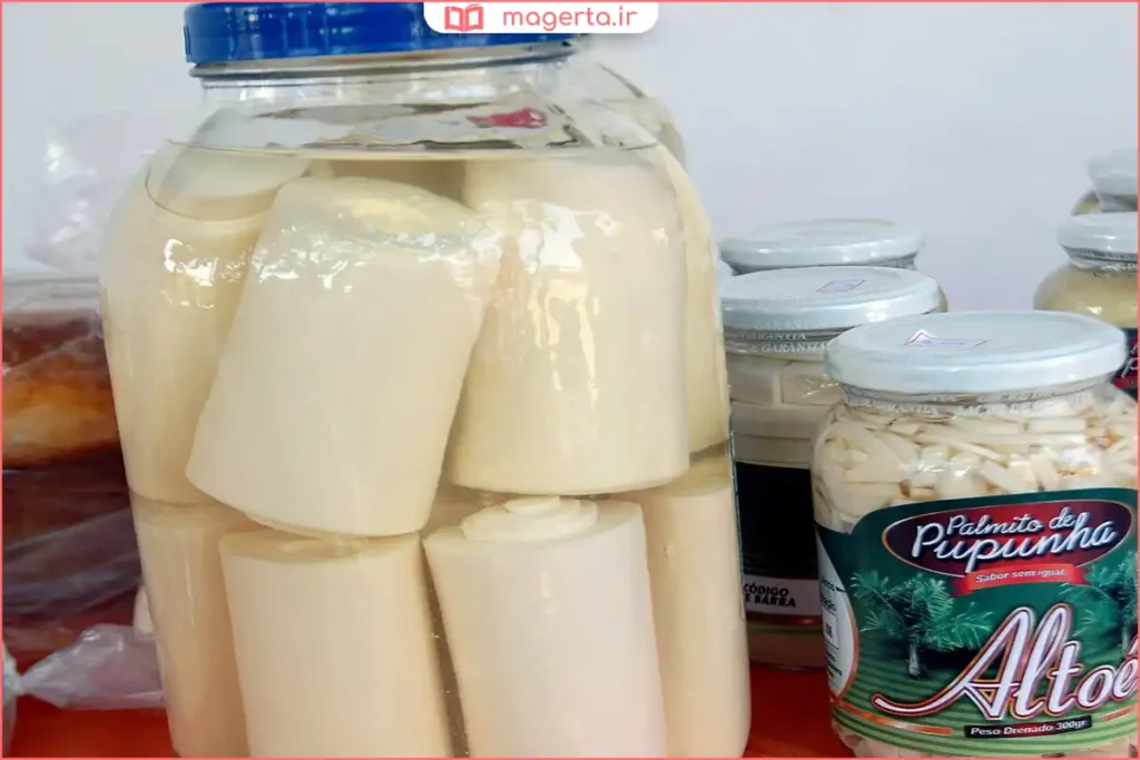 نگهداری پنیر نخل در ظرف دربسته داخل یخچال
