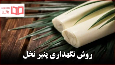 روش نگهداری پنیر نخل