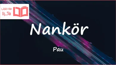 متن و ترجمه آهنگ Nankör از Pau