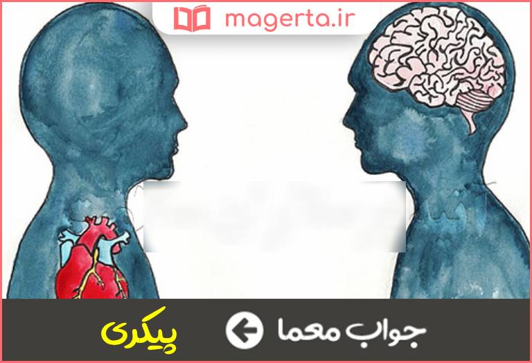 جواب معما جسمی در جدول