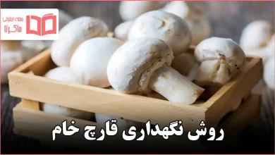 روش نگهداری قارچ خام