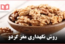روش نگهداری مغز گردو
