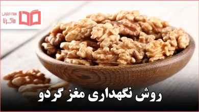 روش نگهداری مغز گردو