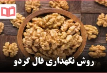 روش نگهداری فال گردو