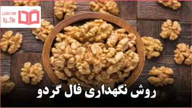 روش نگهداری فال گردو