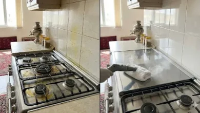 خانهتکانی عید با بخارشوی