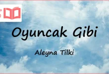 متن و ترجمه آهنگ Oyuncak Gibi از Aleyna Tilki