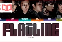 متن و ترجمه آهنگ Flatline از EXO