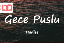 متن و ترجمه آهنگ Gece Puslu از Hadise