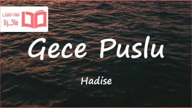 متن و ترجمه آهنگ Gece Puslu از Hadise