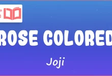 متن و ترجمه آهنگ Rose Colored از Joji
