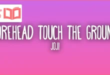 متن و ترجمه آهنگ Forehead Touch the Ground از Joji