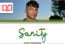 متن و ترجمه آهنگ Sanity از Louis Tomlinson