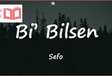 متن و ترجمه آهنگ Bi’ Bilsen از Sefo و Sena Şahin