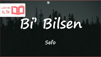 متن و ترجمه آهنگ Bi’ Bilsen از Sefo و Sena Şahin