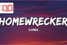 متن و ترجمه آهنگ Homewrecker از sombr