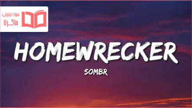 متن و ترجمه آهنگ Homewrecker از sombr